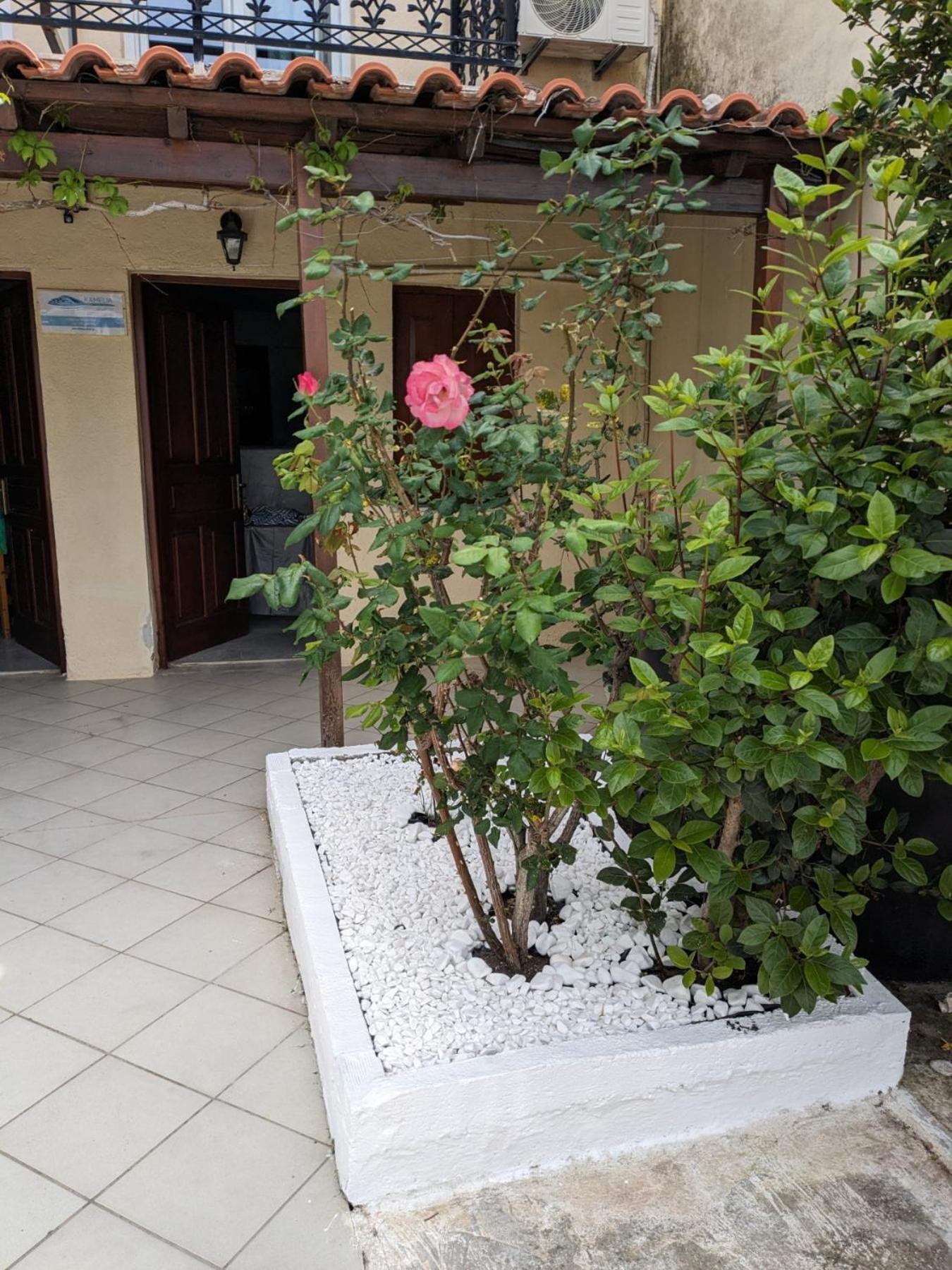 Kamelia Apartment Кокари Екстериор снимка